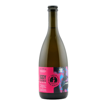birra garlatti costa iggy in bottiglia da 75cl