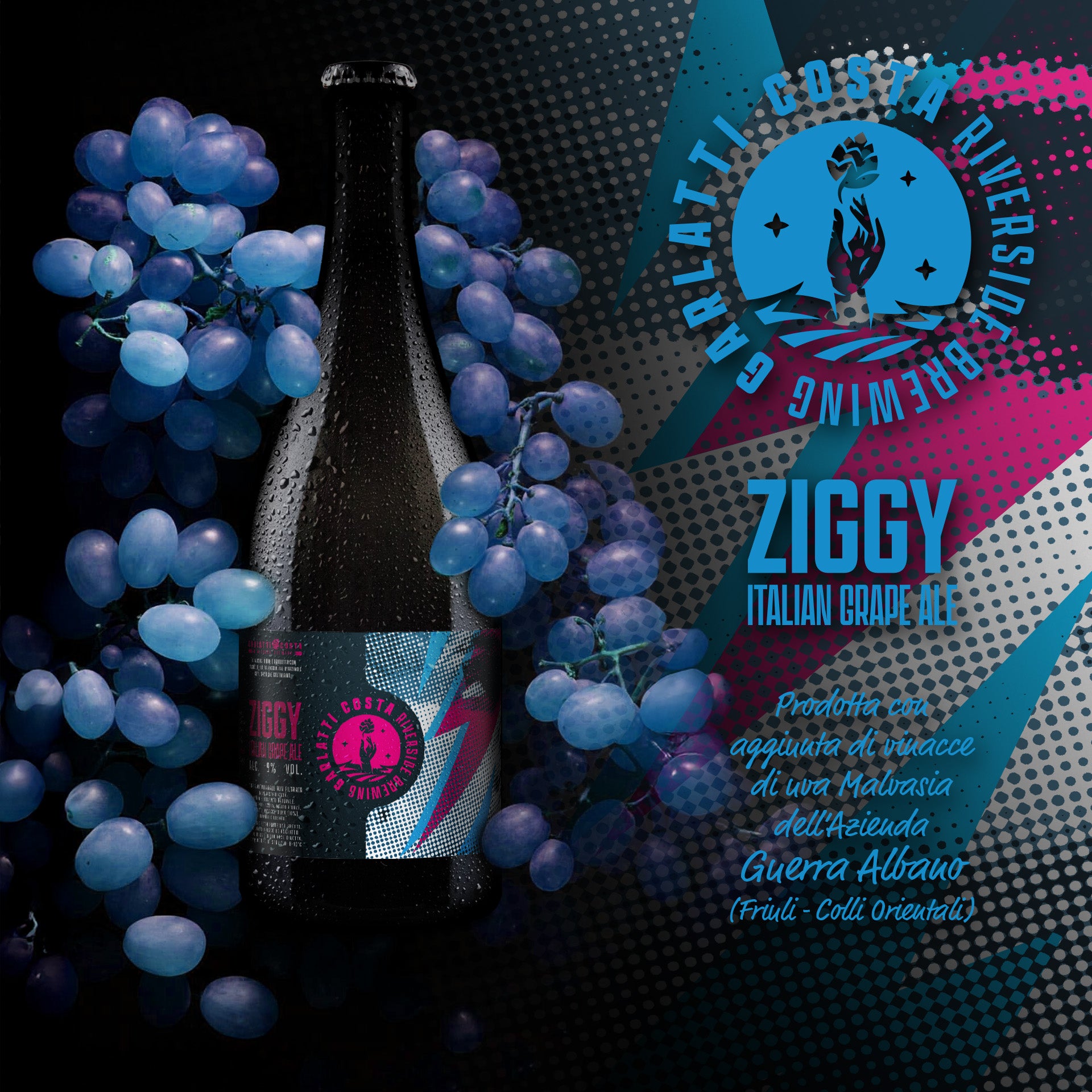 garlatti costa ziggy iga