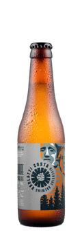 Birra Garlatti Costa Rushmore in bottiglia da 33 cl
